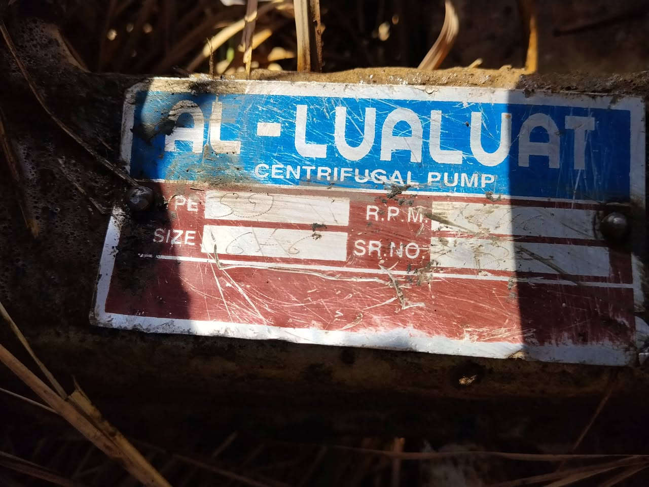 السلام عليكم غطاس ابو ال4انج للبيع مع خنزيرة ام الستة عدد 2 للبيع المكان بغداد ***********
