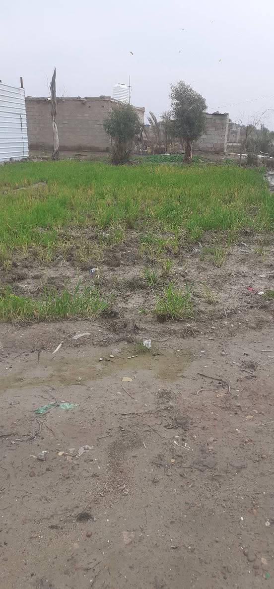 السلام عليكم قطعه ارض ٨٠٠ متر بالبصام  وبيها بيت 
للاستفسار دخلو خاص


**إذا كنت صاحب هذا الإعلان وتريد حذفه لأي سبب، رجاءا أرسل رسالة إلى الدعم الفني**