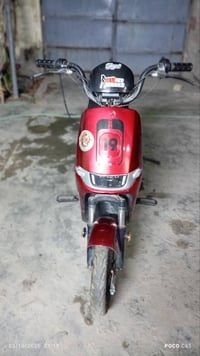 بايسكل شحن • بابل • السدة الهندية