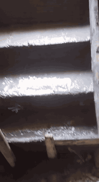 السلام عليكم *********** اي شخص محتاج صب رباط أو صب البيت من الداخل أو تسليطه سطح  يرسلني كادر كامل من خباطه وعمال شغل نظيف ومرتب وتساب موجود ***********
