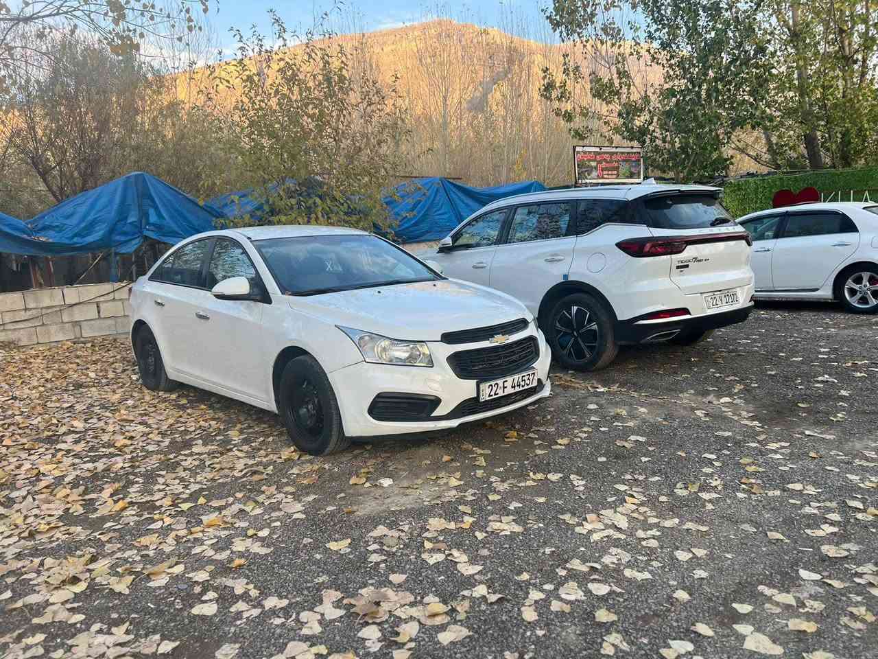 كروز 2016 خليجية 1800 بيهة قطعة وحدة صبغ اباب سايق ومكان بارد ولباقي مكفول سيارة بدون نواقص مبدل صدر خلفي وامامي جديد ودسكات وبلكات وقوايش كير مكينة عل فحص تخم تاير قبل كم يوم شديتة الهة رقمهة اربيل ابأسمي تحويل مباشر وسيارة جاهزة ومال جناية 
ماشية 150 مكان سيارة بغداد الثعالبة *********** ابوحيدر السعر اب 95
