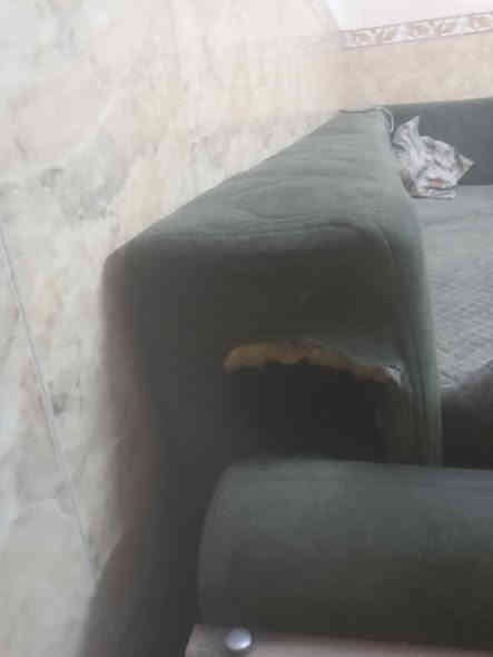 السلام عليكم دوان تركي لون زيتوني ينفتح يصير جرباية وتقدر اتخزن بداخلة الضرار بية حرك من الصفة وبي خشبة طاقة من النص يحتاجلة ترتيب سعر ١٠٠ التواصل خاص او ***********
