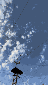 سلام عليكم النتره 2014 خليجي هزه جديده سنويه ل30 سياره مصبوغه عام جماليه اثر تكشير بدون ضربه مكينه 1600 بيها رواجز كير نضيف تخم تايرات  جدد صدر جديد  سعرها 90 وبي مجال للستفسار *********** بي واتساب او ***********
