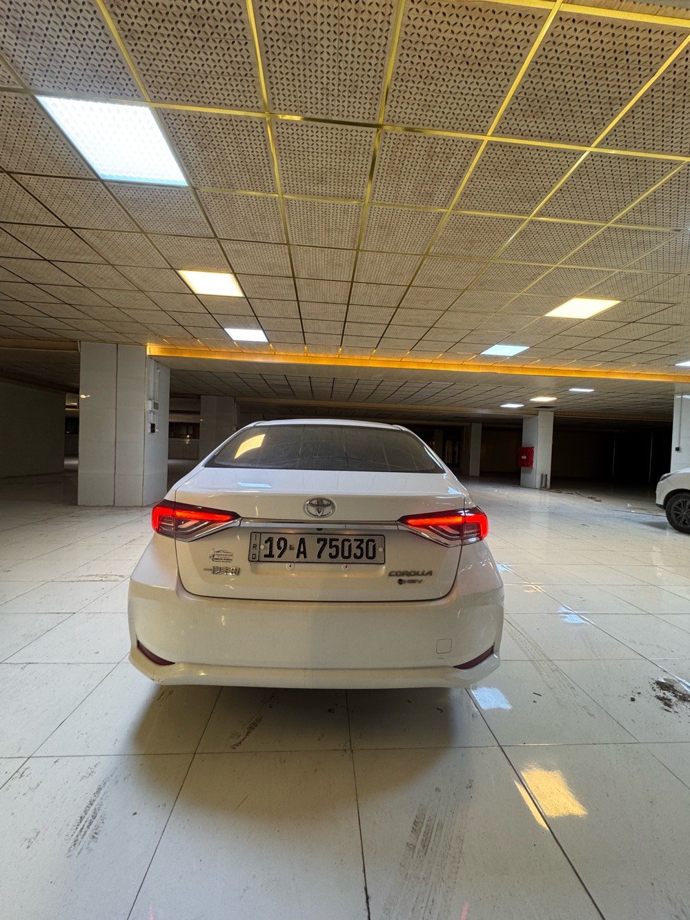 كربلاء كوله لبيع مشيه ربعين لف كفاله عامه سياره 