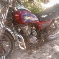 جونده • رقم ابيض