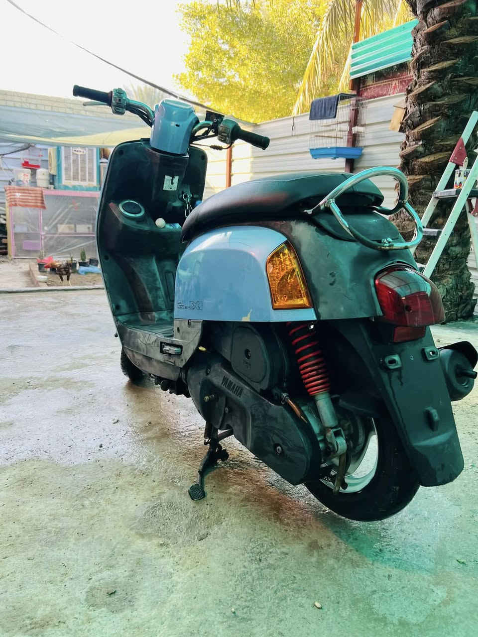 السلام عليكم ماكس بوليس مكفوله كفاله عامه ما نقصها أي شي شلعه ومعدل خير من الله ما مفتوحه الرقم ***********العنوان كربلاء كنطرت السلام السعر ٨٥٠وبيها مجال حك. الجيه 🫡
