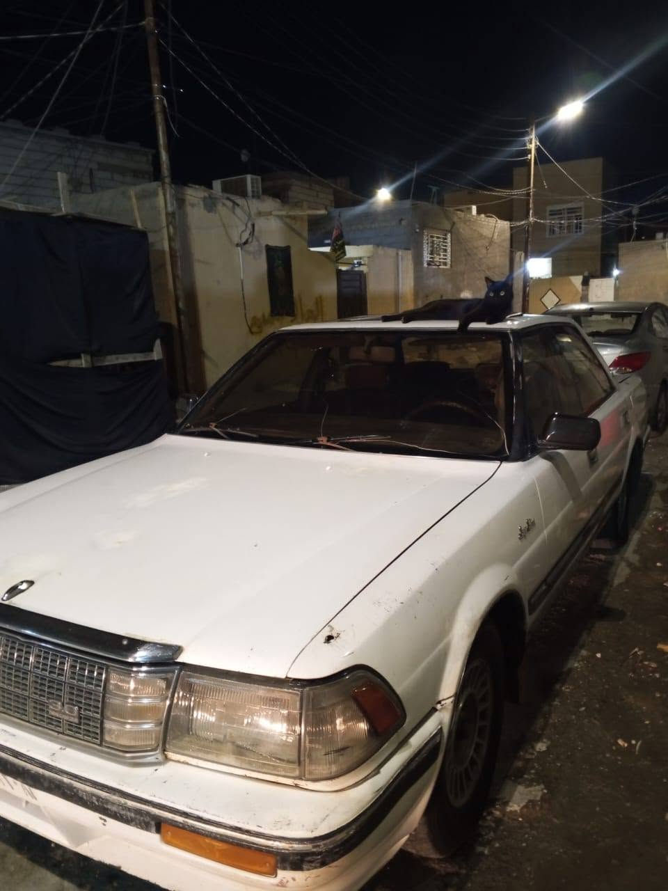 (هارتوب سيدان) 1989

يسره بلادي مكينه ونجي وكير جدد مكفوله من صبغ وضربه
مسجل شاشه +كهربائياتها كلها تشتغل +سنتر لوك 
 سياره تمشي معدل فول رزانه 
مكاني كربلاء - حي العامل 
ابيعلك بدون رقم
للاستفسار : ***********
