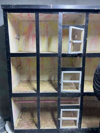 قفص خانات • ١٢ خانات • فلوجه السكنية