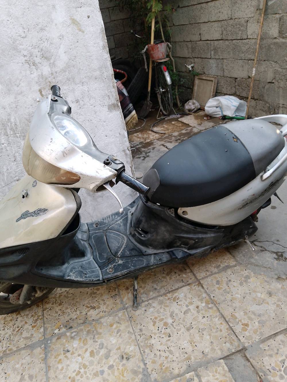 حي البساتين