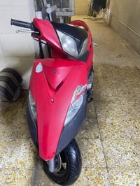 ماكس ثعلب • إدامة بسيطة • مرقمة بغداد