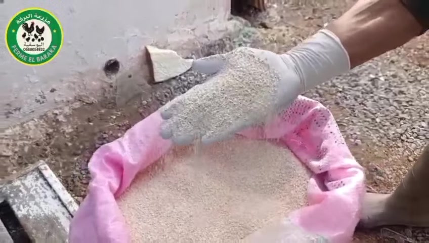 🐓🕊️ عـرض خـاص لمـربي الدجاج والطيور بمدينة اليوسفية! 🕊️🐓
مزرعتنا كتقدم ليكم أجود أنواع كاربونات الكالسيوم (جودة 100/100) 💯 المثالية لتقوية قشرة البيض، تعويض نقص الكالسيوم، وضمان صحة ممتازة لـ:
✅ الدجاج البياض
✅ الحمام وطيور الزينة
✅ جميع أنواع الدواجن
📍 تفاصيل الطلب والتوصيل:
📦 داخل اليوسفية: الطلب ابتداءً من 5 kg
🚚 خارج اليوسفية: الإرسال متوفر ابتداءً من 50 kg
📞 للطلب أو الاستفسار، تواصلوا معنا:
📲 واتساب: 0755718316
☎️ الهاتف: 0668054932


**إذا كنت صاحب هذا الإعلان وتريد حذفه لأي سبب، رجاءا أرسل رسالة إلى الدعم الفني**