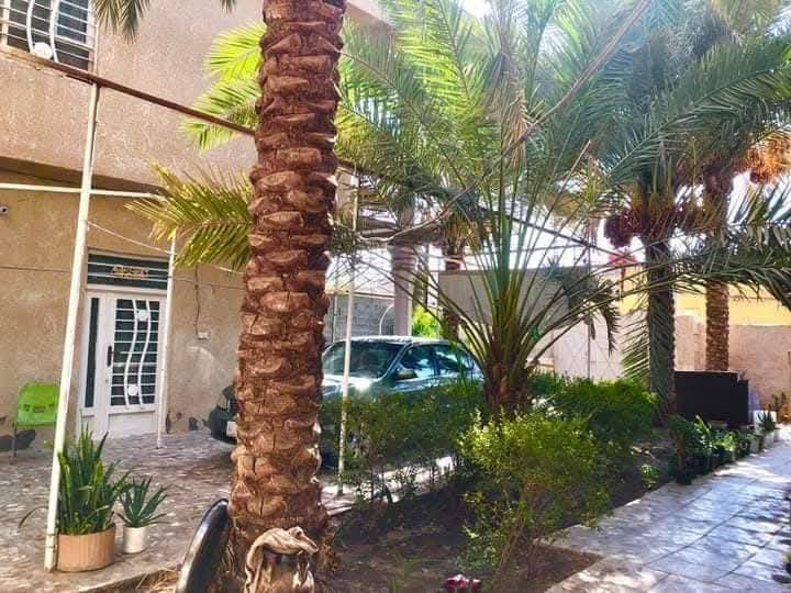 السلام عليكم
بيت مساحه ٤٥٠  يحتوي ع شقتين فوك والطابق الأرضي يحتوي ع غرفتين وصاله واستقبال ومطبخ حراري وبارد وحمامات خارجيه  وحمام داخلي ويحتوي ع كراج  ويحتوي ع سويت يتكون من  صاله وغرفه وحمام   عنوان كربلاء طريق بغداد عامود ١٥٩  ع طريق الخدمي 
سند ٢٥
تفاصيل:***********
