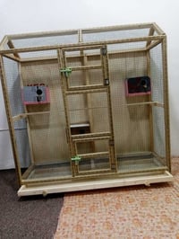 قفص • جديد • ناصرية الحبوبي