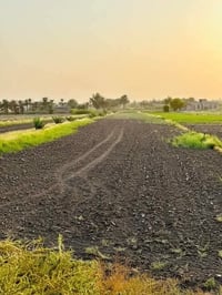 دونمين • طابو زراعي • تاجي سبع البور