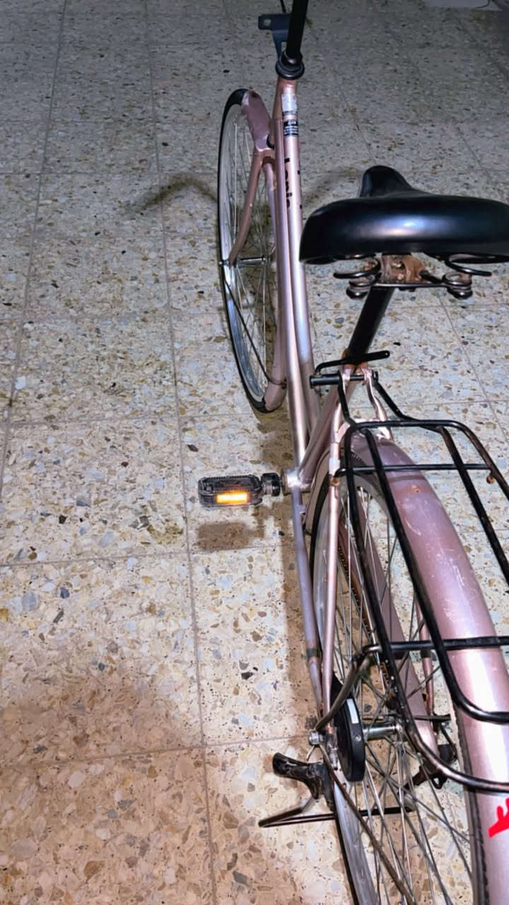 باسكل للبيع شركة ليدز مكاني بغداد العبيدي سعر ٩٠وبي مجال باسكل مفول❤️‍🩹


**إذا كنت صاحب هذا الإعلان وتريد حذفه لأي سبب، رجاءا أرسل رسالة إلى الدعم الفني**