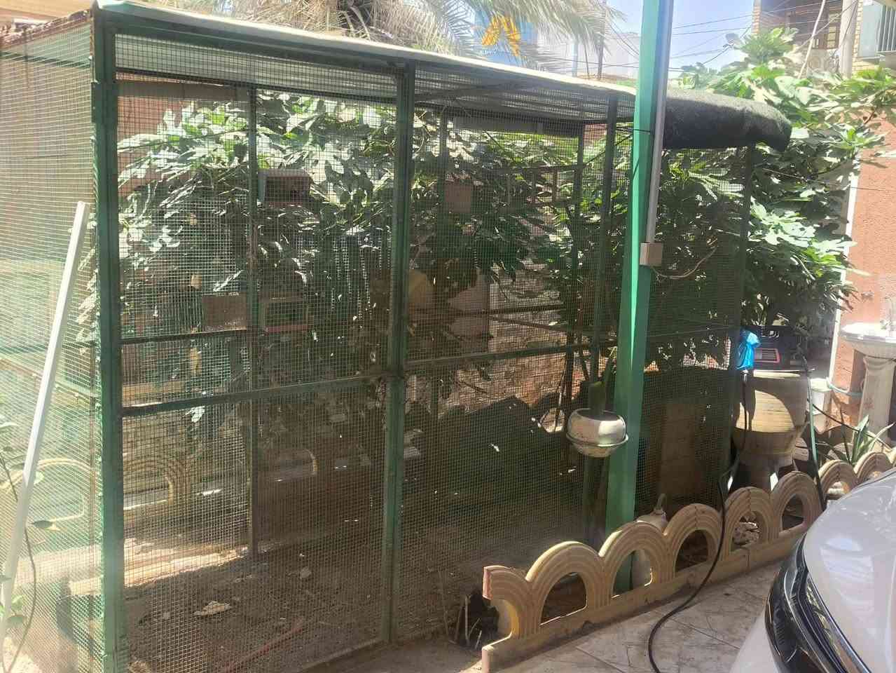 قفص طيور للبيع سعره 150قفل جبير كلش بي اضويه كامل ويا بيوته


**إذا كنت صاحب هذا الإعلان وتريد حذفه لأي سبب، رجاءا أرسل رسالة إلى الدعم الفني**