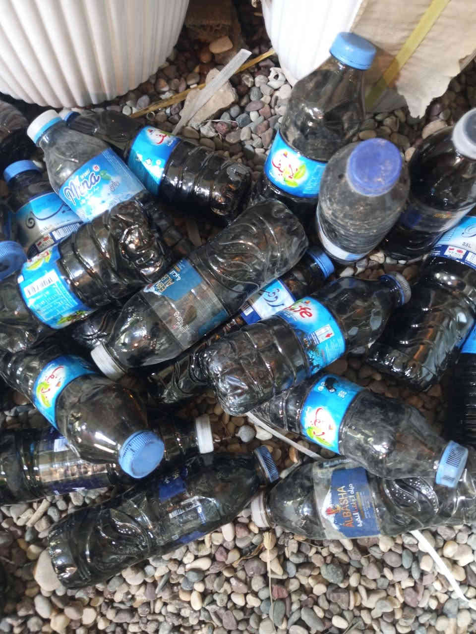 على بركة الله وصول وجبة جديدة من مبيد الاعشاب بجميع الانواع الى مشتل الظلال  مجذر ملمع نباتات اسمده هيومك 
اسيد ان بي كي وبتموس بجميع الاحجام
متوفر توصيل الى جميع مناطق الموصل 
للاستفسار مراسلة الصفحة او الاتصال على الرقم ***********
العنوان الحود الشارع العام مقابيل الحود مول مشتل الظلال قرب مفرق الزاوية 
#سنادين_اشجار_ورود_اسمده_بتموس
