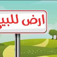 بصاير قرب الجامع • ٣٨٦م • ملك صرف