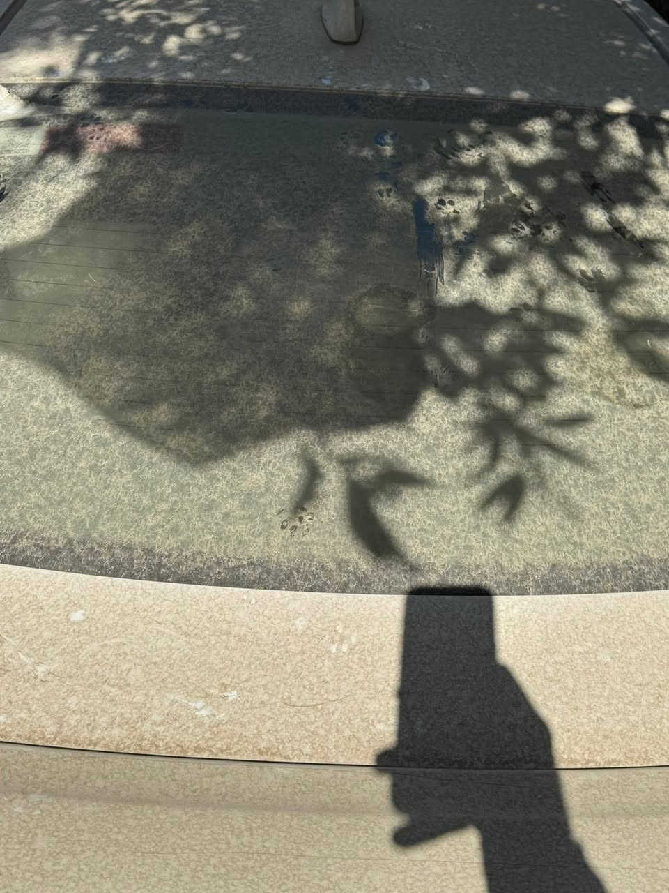 نيسان صني زيرو  اربيل 2025 ضمان السور جملة مفرد بغداد الكرادة

نيسان صني زيرو 2025 رقم اربيل ضمان السور جملة مفرد بغداد الكرادة

وصول نيسان سني  هندي

2025 ضمان شركة السوور

وصول نيسان 2025 هندي 

تخفيضات 🔥 تخفيضات 🔥

وصول وجبة

سني 2025 زيروهندي

سني 2025زيرو هندي

  صفر كيلو متر رقم أربيل الجديد

 بسم شركه تريد وكاله تريد تحويل مباشر 

المواصفات 🚗🚗🚗🚗🚗☎️☎️☎️☎️

شاشة

كأمره

سويج ريموند عدد 2

تحكم ستيرن

يدات نيكل

سبايدر  اصلي

شباك نيكل الجديد ابو النحلة

جام كهرباء 

أشاير مري

داخل بيجي 

حساس خلفي 

ويل حجم 15

ارباكً عدد2

بغداد الكرادة وبالخير على المشتري

*********** 

ابو سجاد و شكرا لادارة الموقع.
