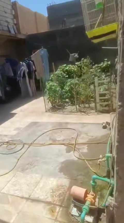 السلام عليكم طابو صرف 260 م حي العسكري العابد قطاع 14.   ***********
