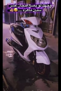 دراجه سكنس فحل كوري للبيع  دراجه تخبل خير من الله   بيه تزويد   1صلنصه...