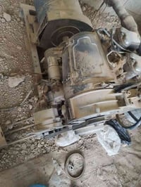 مولد تونسي • ٢٧ حصان • ديالى الخالص