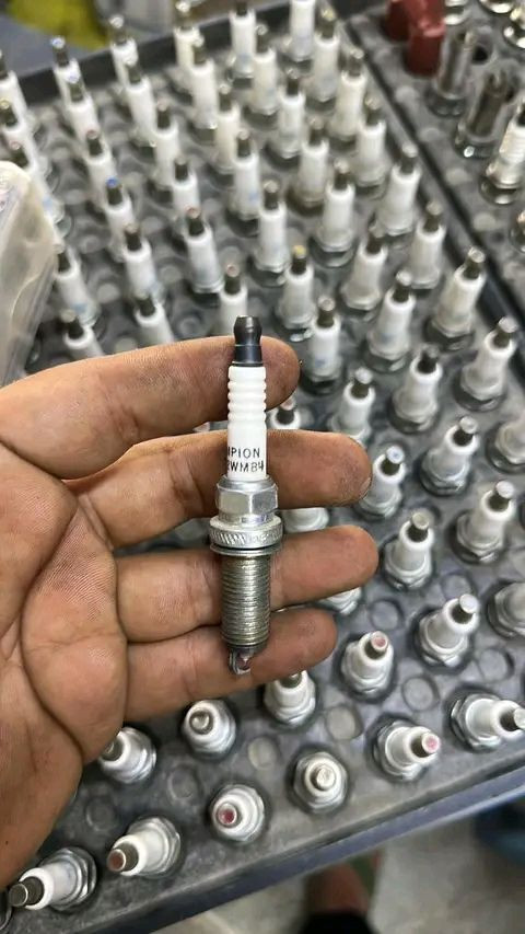 بلكات
نوزلات
مجاول 
 ا اتصل على الرقم
***********
حي الامانه مقابل تربية الرصافه 3 مابين تقاطع شارع الفلاح وتقاطع الداخل قريب على معارض الحبيبيه
