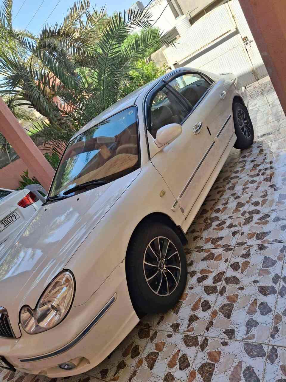 السلام عليكم هونداي سوناتا 2001 خليجي وفود محرك 2000 دوش خط واحد داخل صاج كير محرك مكفول مصبوغه عام للجماليه بدون اي حادث تبريد ثلج تدفئه شغاله صدر أمامي خلفي جديد تخم تاير سنويه هزه جديده غرفتها نظيفه السعر 68 مكاني بعقوبه للتواصل ***********
