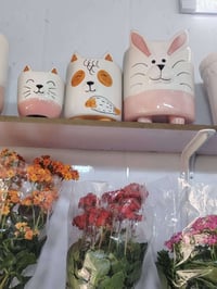 سيراميك • السنادين • وجبة