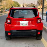 جيب رنكت • ٢٠١٨ • صبغ فقط