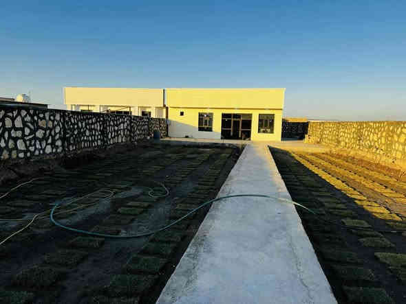 مزرعه للبيع مساحه ٨٢٥ متر مسيجه حجر سند ٢٥ مداور بناء حديث طابوك وكونكريت اساس رفت بيه غرفه 4في4 صاله 6 في 10  مطبخ ٣ في ٤ زاد حمامات وتواليت غربي ع طريق الدغاره ديوانية خلف مطعم واثق بلمازارع ***********
