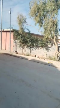 دار • ١٠٠م • مدرسة علي شاهين