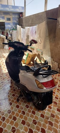 سبيسي • ياباني • مكفوله