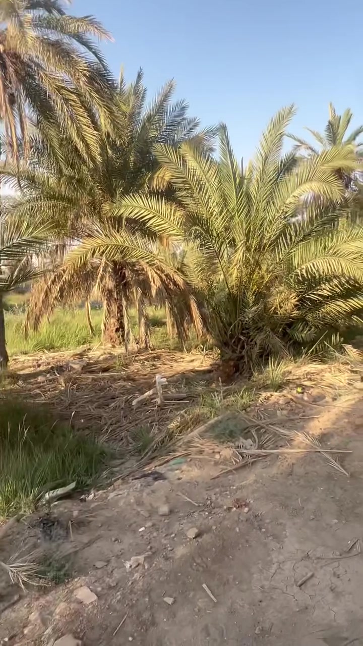 سلام عليكم قطعه ارض مساحتها 200 متر طابو أسهم مداور ثاني يوم بحي الأمير تقريبا تبعد عن الشارع الزوار اقل 100متر وموجود تفاصيلها بالفيديو سعرها 82 وبيها مجال بسيط للاستفسار ***********
