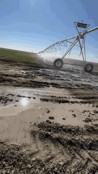 ارض زراعيه في النباعي جزيرة الكرمه 
لارض تبعد عن مستودعات المشاهدة 5 كيلو وعن طريق التاجي العام نص ساعه المساحه 120 دونم مباشرتا مع سور بغداد انبار لارض يمتد وياها نهر صب مي حلو او واصلها كهرباء ومحفور بيها بيرين بير ارتوازي وبير جمه سعر الدونم  1.500 مليون ونص  لاستفسار 
***********
***********
***********
