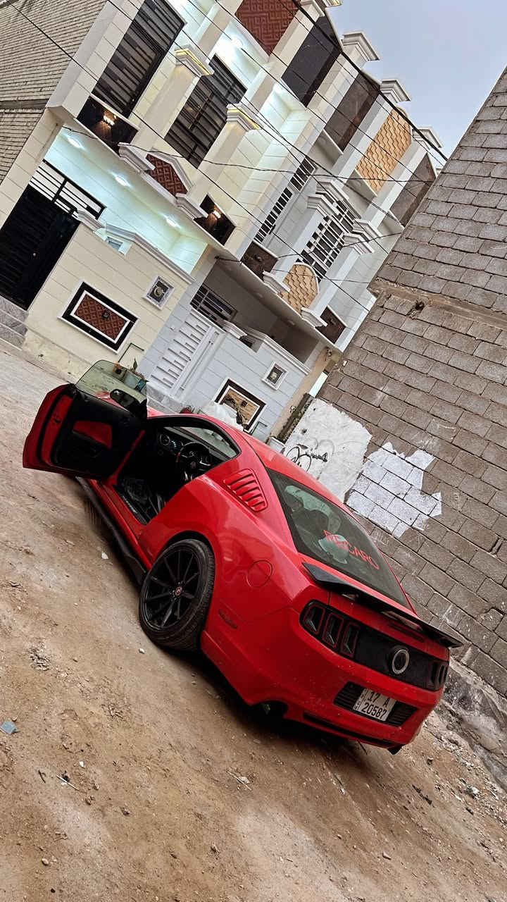 لبيع او مراوس بغير شي
موستنك 2014 محرك 6
السياره ماشيه 89حقيقي
حادثها موضح بدون لغد وشاصي وبدون بجم صبغ السيار3 قطع والجاملغ الأمامي شوي منه مباوكين قماره بنيد جنطه بدون صبغ كفاله امانه الله تفتح بنيد تتونس ماكو شي مو بلاد 
 السياره عليها كشنات ريكارو اصلي من امريكا
عليها لحيهrtr
سبويلر CS
ويل اصلي ٢٠
شباك اصلي gt
هزه جديده ثاني يوم ادورلك باسمي السياره
مكاني كربله سعرها 112 وماكو هيج لون ونضافه وحادث بهل سعر واذا معجبتك اكسب الصلاة ع نبي احسن من السياره
مكاني كربله ***********
