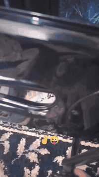 باسكل حجم 26للبيع موديل 2016 
كربلاء طويريج السعر 75
***********
