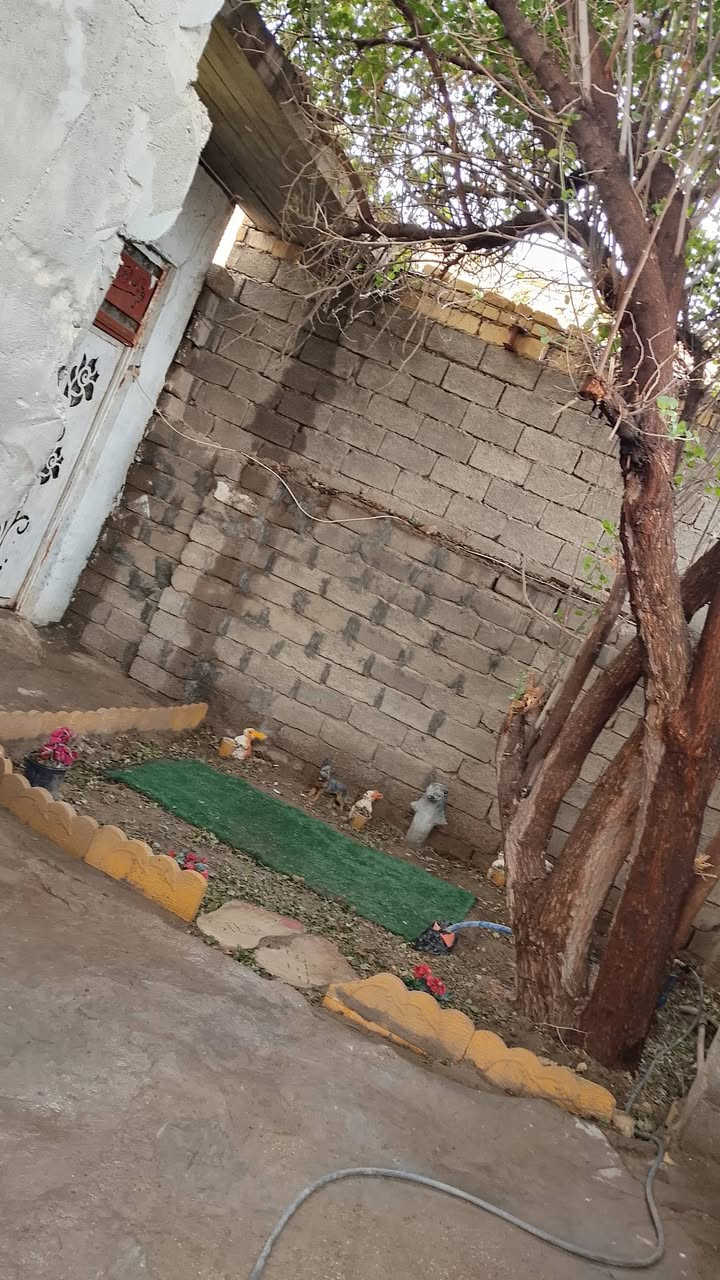 السلام عليكم يوجد بيت في حي الجهاد شارع الزنابرة قريب على التارتان مساحة اكثر من 350 م
مبني غرفتين وهول واستقبال ومطبخ وحمام داخلي وخارجي ويحتوي على حديقة ويحتوي على درج حلزوني 
التفاصيل اكثر خاص


**إذا كنت صاحب هذا الإعلان وتريد حذفه لأي سبب، رجاءا أرسل رسالة إلى الدعم الفني**