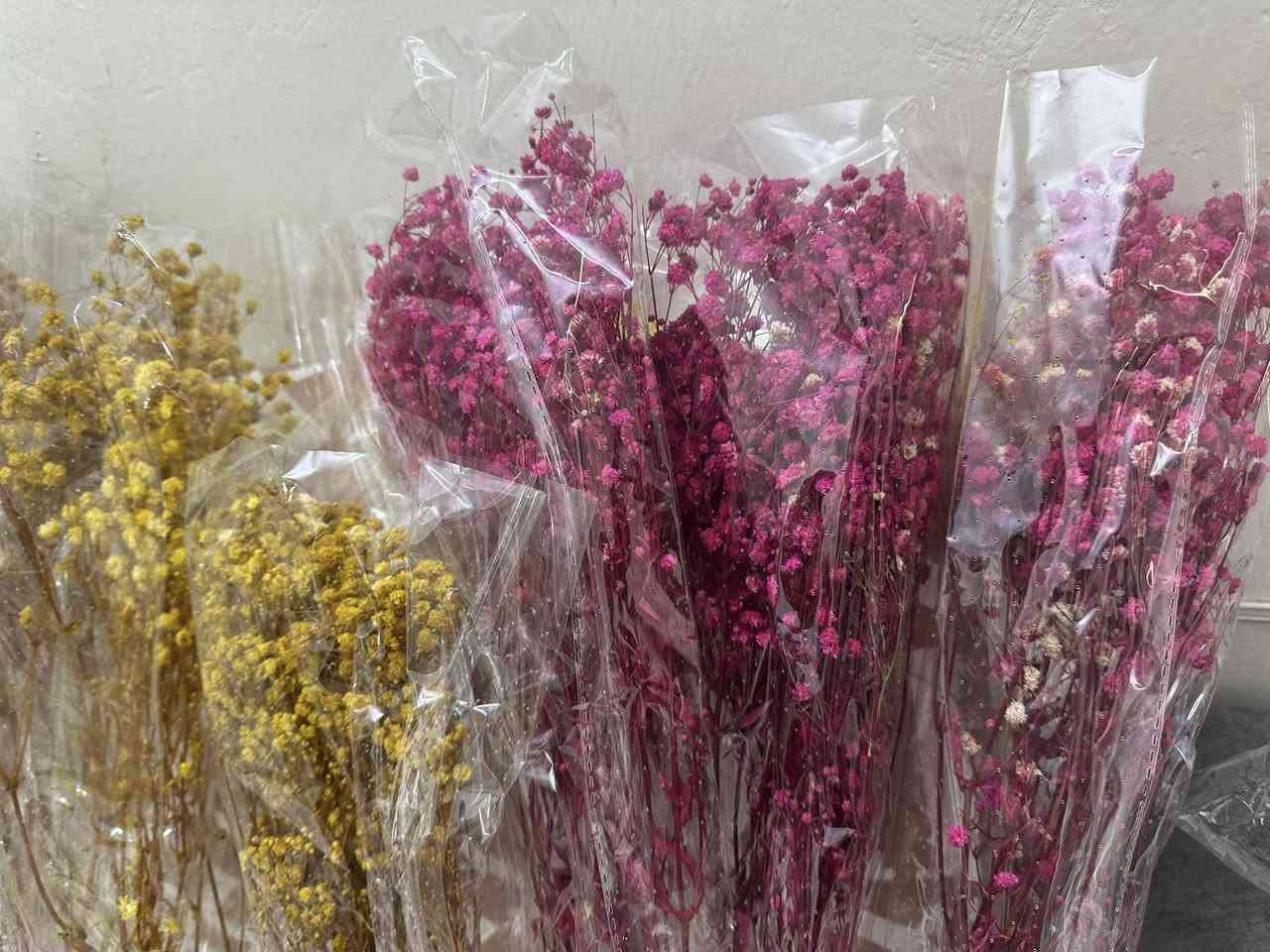 جبسوفيل سعر القطعه الف ونص
يتوفر توصيل بغداد والمحافظات ٥ الاف


**إذا كنت صاحب هذا الإعلان وتريد حذفه لأي سبب، رجاءا أرسل رسالة إلى الدعم الفني**