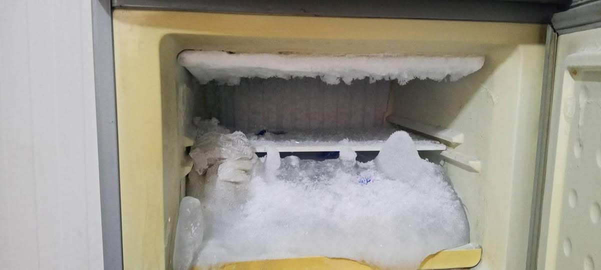 ثلاجه نوعيه كونكورد مبدله ماطور والباب جوه مينسد مسويله رزه الثلاجه شوفت عينك قيم واخذ مكانها بابل خلف القريه مول


**إذا كنت صاحب هذا الإعلان وتريد حذفه لأي سبب، رجاءا أرسل رسالة إلى الدعم الفني**