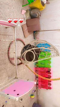 جربايه نفر واحد • مرجيحة • أثاث أطفال