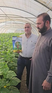 سبورا • خمائر • بكتريا نافعة