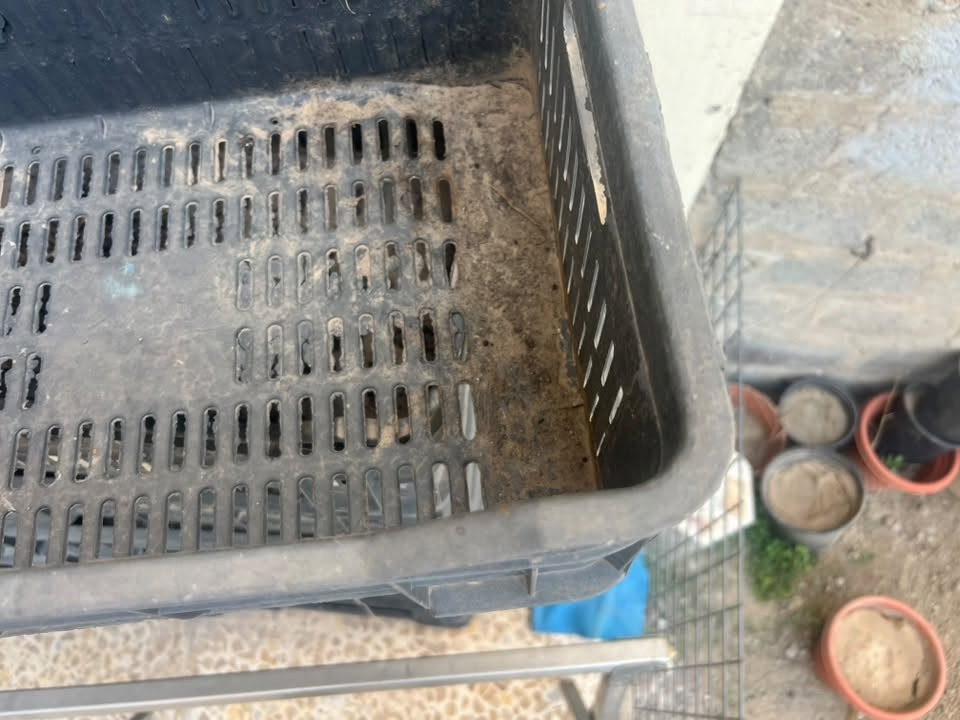 للبيع صناديق طماطة درجة اولى مثل ما موضح العدد 65 
ادفع سعرك عجبني ابيعك للتواصل واتساب ***********
