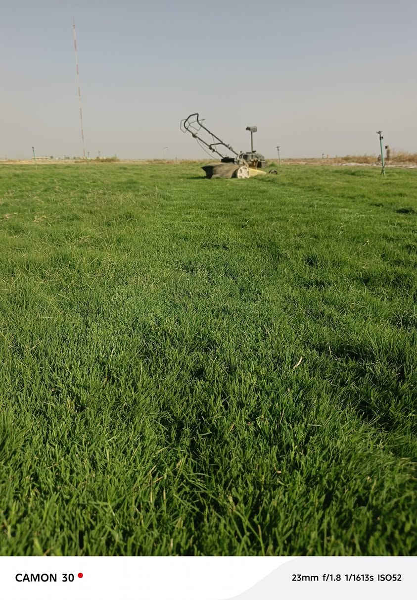 ثيل ديالى الطبيعي 🍀 متوفر كافة انواع الثيل
الثيل امريكي والهندي والايطالي والفرنسي
كادر متخصص :
لتجهيز... مشاتل🌴
والدوائر حكوميه🏦
منازل🏡 منتزهات🏄
موجود خدمة توصيل 🚕🚕 لكل محافظات العراق 
للطلب التواصل مع الصفحة او الاتصال على 
***********
***********
