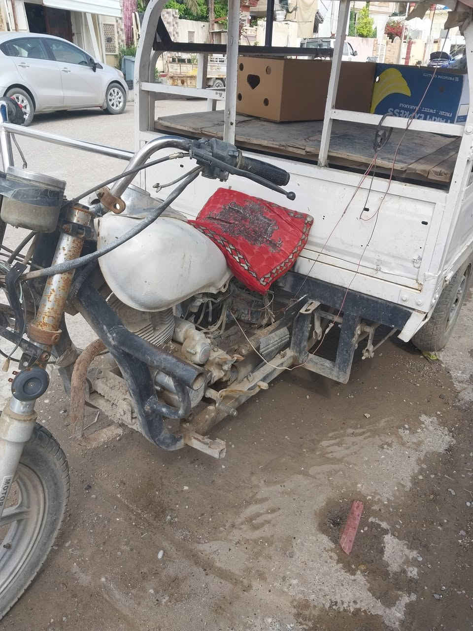 سكوته ام طير ٢٠١٠بدون وراق خرنابات رقم***********
