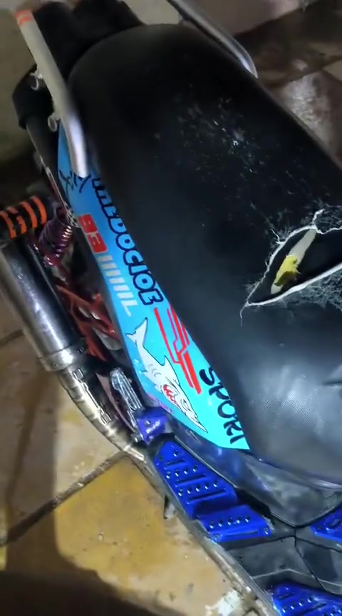 سلام عليكم سكنس جبلي للبيع 
ناصرية مركز ***********
