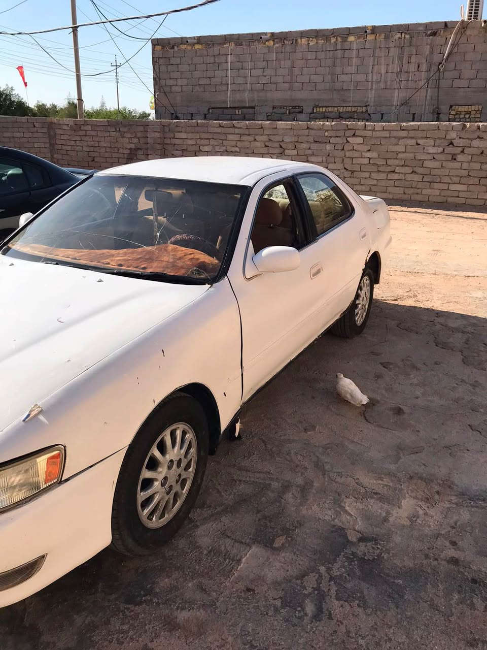 كرستا رقم بصره  حداده تخم تاير مكينه كير خير من الله سياره نقل مكاني البصره القرنه ‭+964 771 081 867 القرنة, البصرة


**إذا كنت صاحب هذا الإعلان وتريد حذفه لأي سبب، رجاءا أرسل رسالة إلى الدعم الفني**