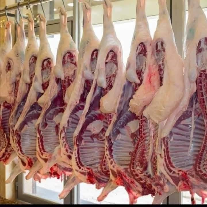 🥩 عروض مميزة من قصابية سيد أمير 🥩
إذا كنت تبحث عن اللحم الطازج والجودة المضمونة، فنحن بانتظاركم كل يوم بأفضل الأسعار.
💥 أسعار اليوم: 🥩 لحم غنم: 13,000 🥩 اللحم شرح: 12,000 🔥 كباب لحم: 10,000 (لفترة محدودة)
🚚 نوصل طلباتكم إلى جميع مناطق مدينة كربلاء بكل سرعة.
📍 العنوان: كربلاء – طريق الحر – مقابل أسواق المائدة.
📞 للطلب: ***********
***********
🌟 قصابية سيد أمير
الطعم الأصيل... والجودة التي تستحق ثقتكم.
حياكم الله ونتشرف بخدمتكم.
