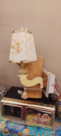 براكيتات • واحد مكسور • موديل مختلف