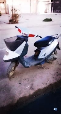 منغولي • واگفه ماتشتغل • المسيب الحاميه